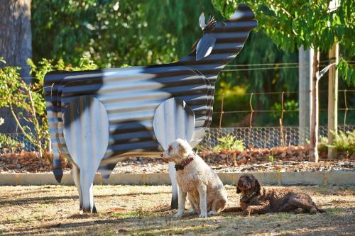 Bed & Breakfast Karri House. Eat - Stay - Love