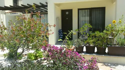 Apartamento Faros Beach