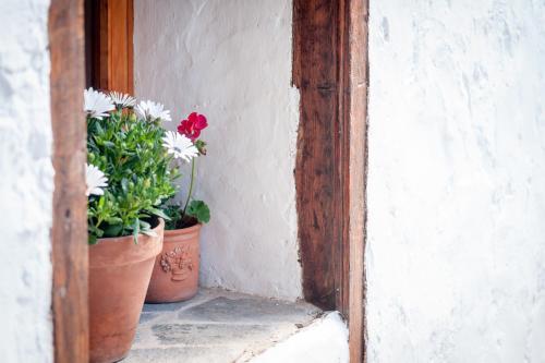 Hostal Casa Rural Arona