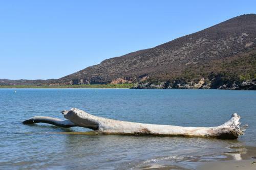Agroturismo Giardino Di Maremma