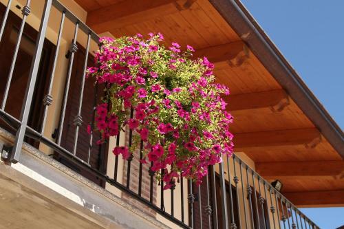 Agroturismo Agriturismo Cascina Mariale