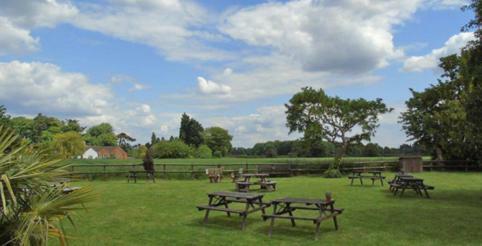 Hostal The Falcon At Hatton