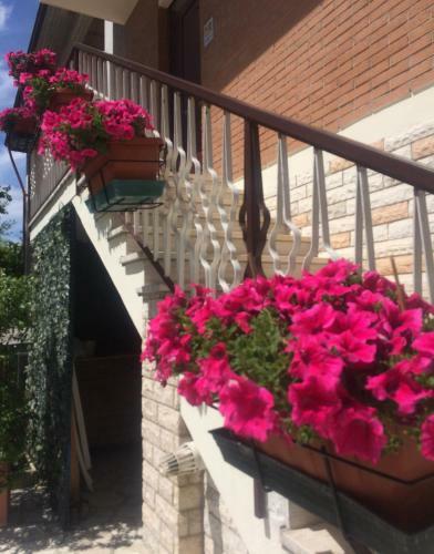 Apartamento La Signora Dei Fiori
