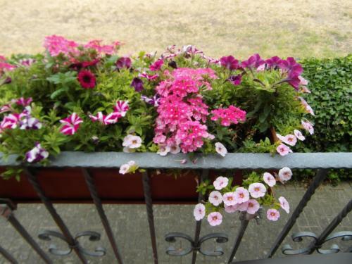 Apartamento Ferienwohnung Borcherts