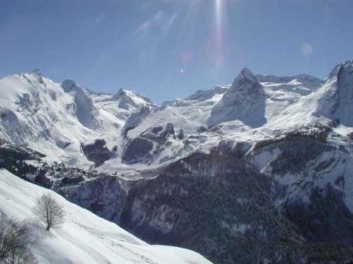 Rental Apartment Le Chalet 1