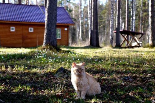 Agroturismo Baza Otdikha Yunost