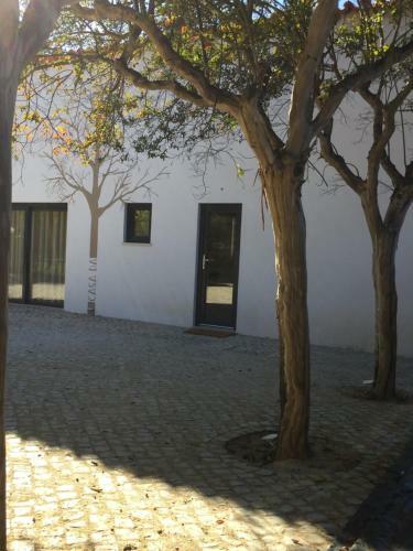 Horta Dos Cedros - House Of Art