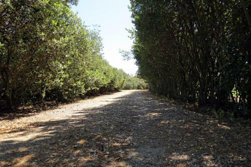 Agroturismo L'orto