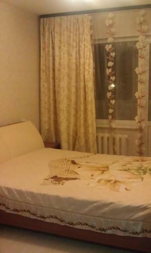 Apartment On Shoshina 5