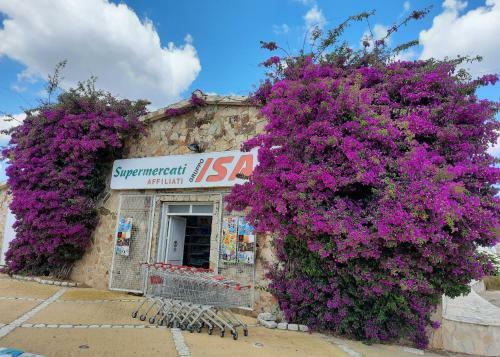 Apartamento Dany's Home In Baia De Bahas