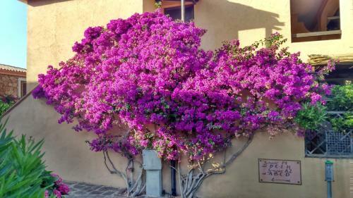 Apartamento Dany's Home In Baia De Bahas