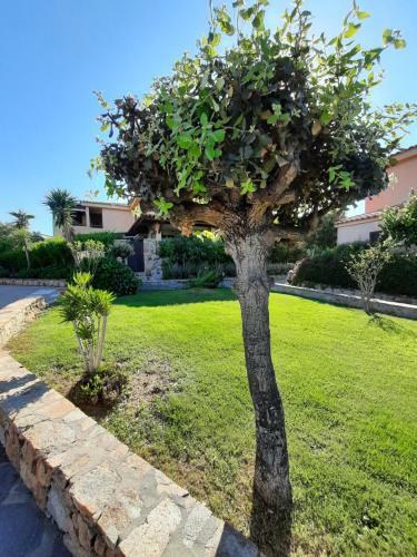 Apartamento Dany's Home In Baia De Bahas