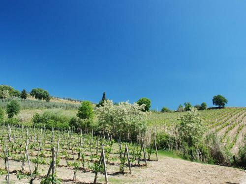 Apartamento Locazione Turistica Le Buche.3