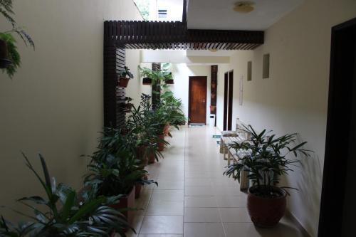 Hostal Yes Hotel Pousada