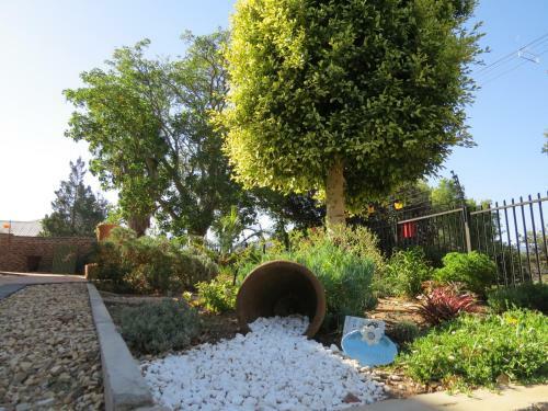 Hostal Coral Tree Guest Rooms