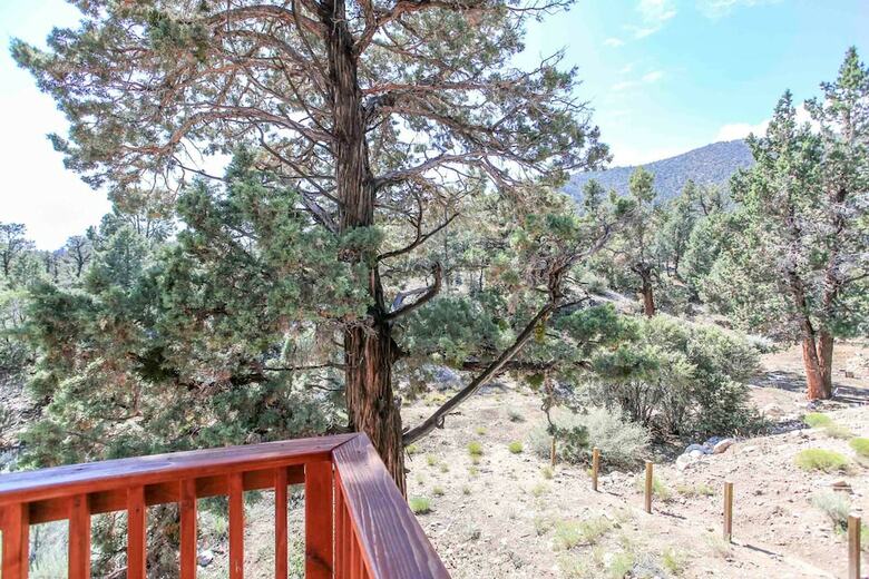 Forest Edge Retreat