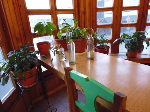 Hostal Yakush