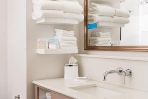 Hotel Hampton Inn & Suites La Crosse/downtown, Wi