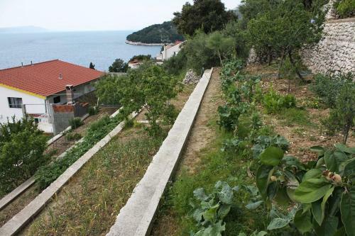 Hostal Studio Drvenik Gornja Vala 4890e