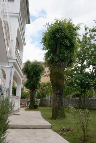 Hostal Studio Vantacici 427a