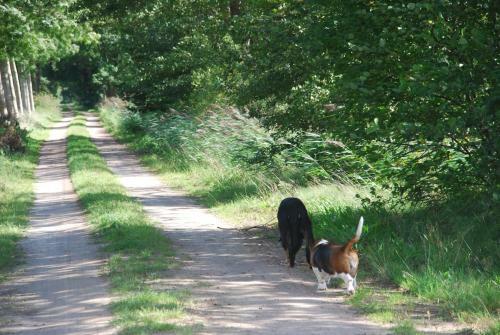Bed & Breakfast De Hagmolenbeek Boekelo