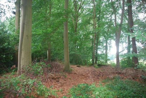 Bed & Breakfast De Hagmolenbeek Boekelo