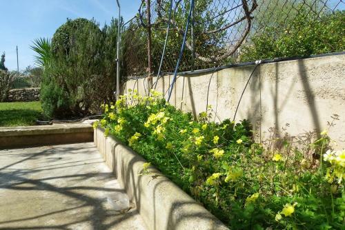 Villa Ses Serres