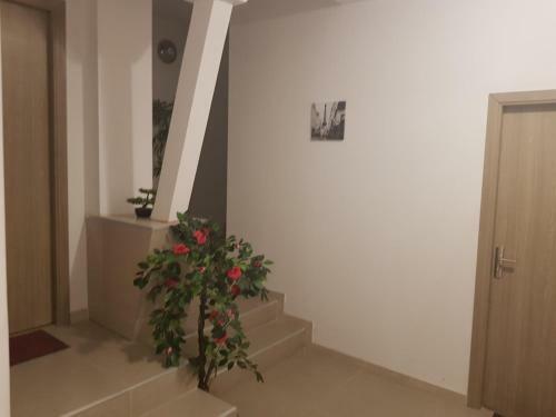 Georgiana Apartments