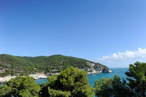 Hotel Del Faro - Pugnochiuso Resort