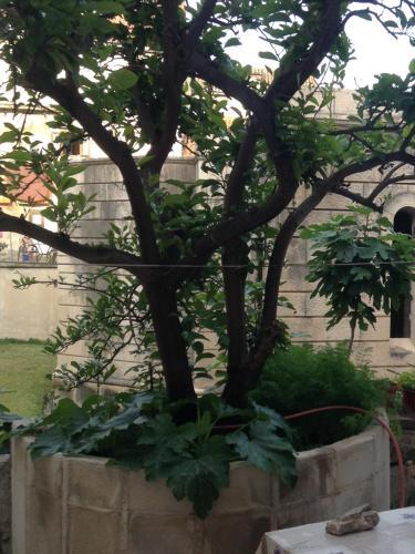 Residencia Rooms Denis