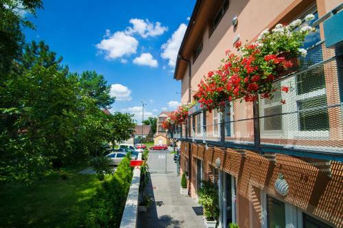 Hostal Penzion Reos