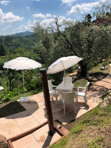 B&B Puccini