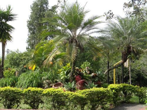 Villa Finca San Fernando