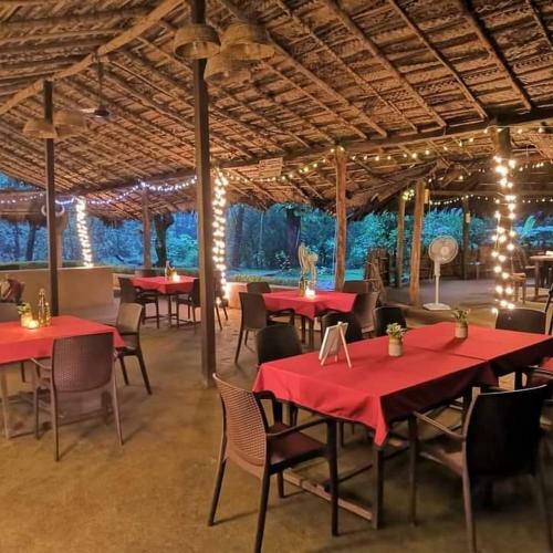 Hotel Nature's Nest Nature Resort Goa
