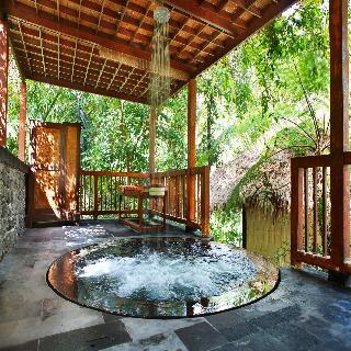 Hotel Nandini Bali Jungle Resort And Spa