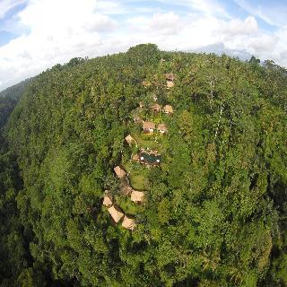 Hotel Nandini Bali Jungle Resort And Spa