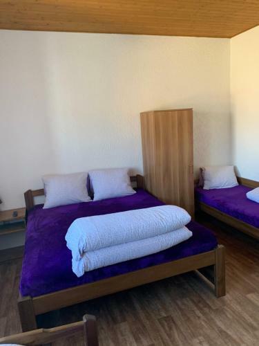 Hostal Penzion U Grobiana