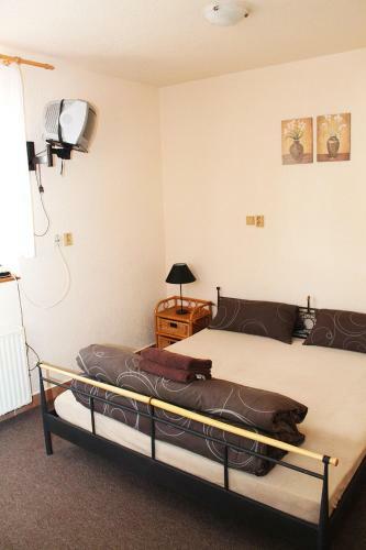 Hostal Penzion U Grobiana