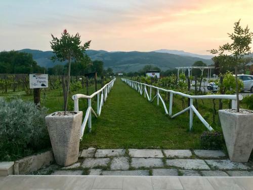 Bed & Breakfast Ca' Del Conte Agrihouse
