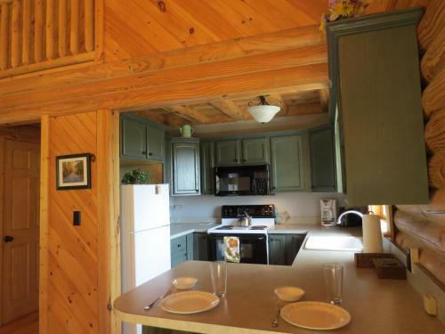 Alpine Log Cabin