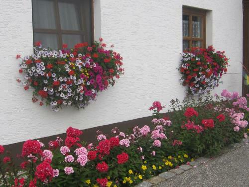 Apartamento Naturidylle - Der Wieserhof