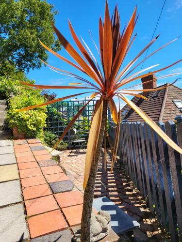 Bed & Breakfast Seasidesteps