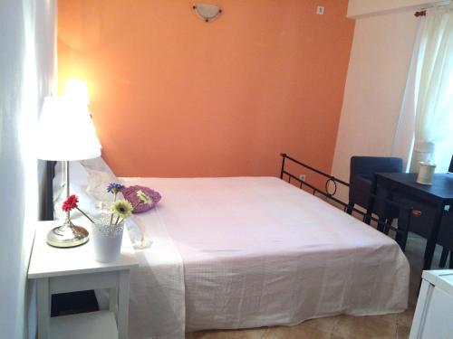 Residencia Villa Saraca