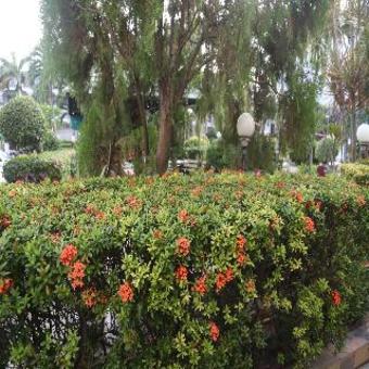 Hotel Romeo Palace