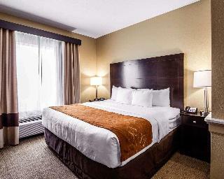 Hotel Comfort Suites Northwest-cy