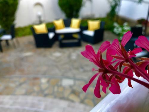 Zoti Hotel