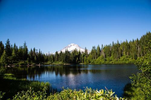 Mount Hood Village Premium Yurt 3