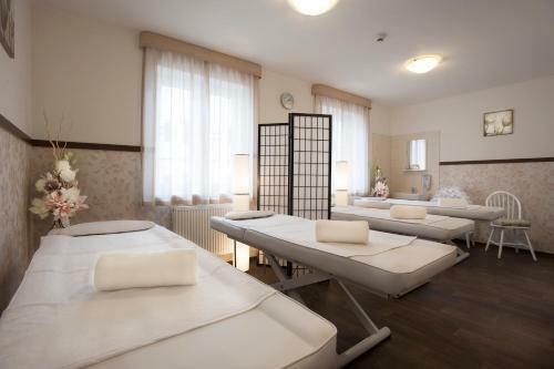 Spa Hotel Millenium Karlovy Vary