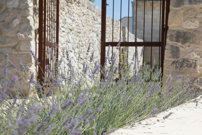Hotel Don Agostino Relais Masseria