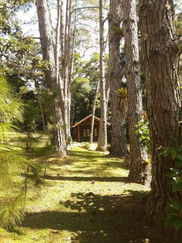 Hostal Ref�gio Ecol�gico Amadamata